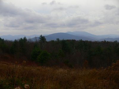 Beauty Spot
View...
10-31-2013
