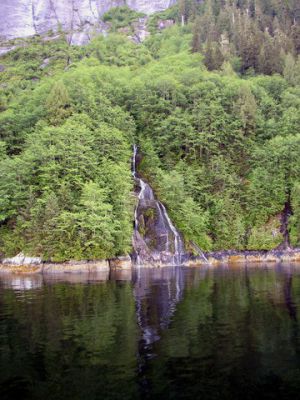 Cascade
Photo by Becky Hyder
