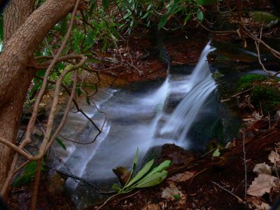 Top Of Falls
Rich Mountain, 

