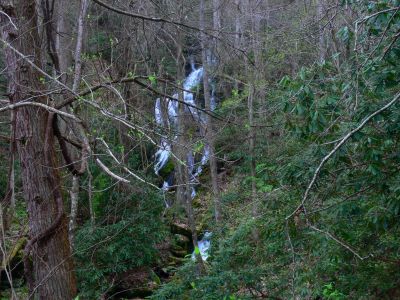 Longarm Branch Falls
Rich Mountain, 
4-17-15
