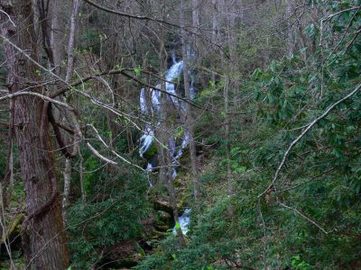 Longarm Branch Falls
Rich Mountain, 
4-17-15
