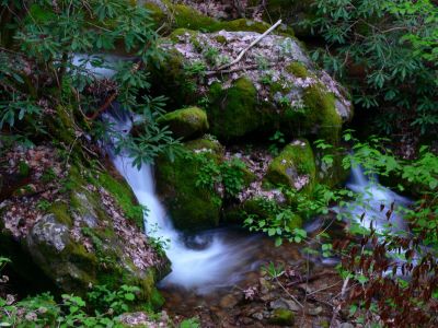 Cascades On Longarm Branch
4-17-2015
