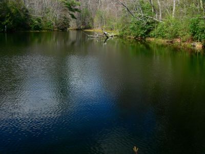 Big Pond On Rich Mountain
4-21-15
