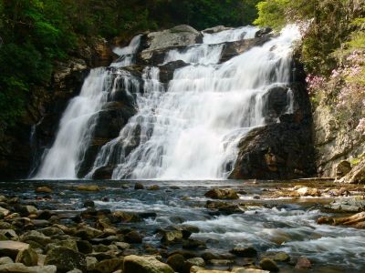 Laurel Fork Falls
5-5-15
