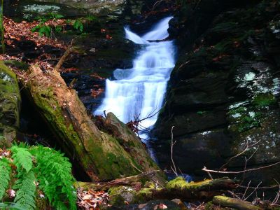 The Cascades in the Slot Canyon

11-21-2015
