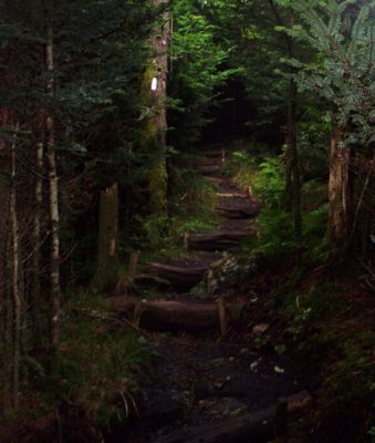 Trail Ascending Roan Mountain
August 2009
