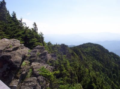 Roan Mountain Bluff
more views...
