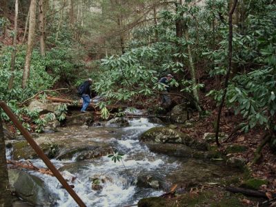 Rock Creek
Rat and Tyler log-walking across creek on way to waterfalls...
January 2010
