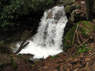 (Middle) Rock Creek Falls
10-foot falls on Rock Creek on Unaka Mountain.
January, 2010
