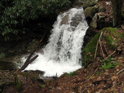 (Middle) Rock Creek Falls
10-foot falls on Rock Creek on Unaka Mountain.
January, 2010
