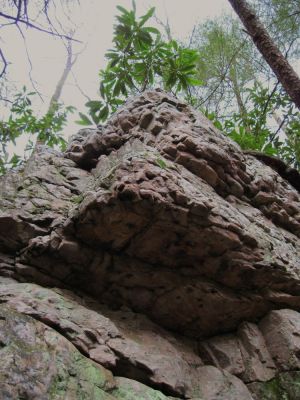 Boulder Gardens
Large Boulder--part of a ridge spine--on the way to Rock Creek Falls on Unaka Mountain, January 2010
