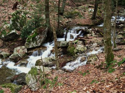 Rock Creek
Cascades on Unaka Mountain
January 2010
