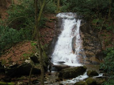 Rock Creek Falls
(Lower) Rock Creek Falls on Unaka Mountain
January 2010

