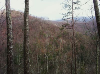 Pine Ridge Knob
aka, 'the Volcano',
January 2010
