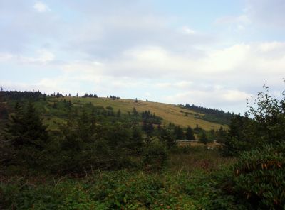 Round Bald
On Roan Mountain,
August 2009
