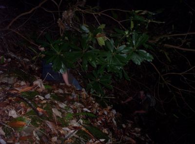 Sliding Down the Falls
Some Trail!  Action photo of Tyler 'sliding for life' down the side of the Middle Devil's Fork Falls ('Josiah Falls') while Rat Patrol is poised to catch him. 
November, 2009
