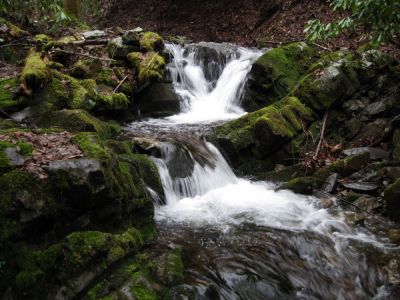 Small Waterfall
on Clarks Creek, on the way to Buckeye Falls,
2-24-2010
