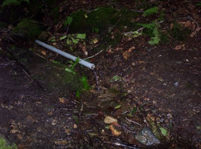 The Spring
...at Big Bald Shelter
July 2009
