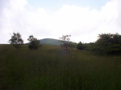 Summit of Big Bald
...as seen from the Big Stamp Meadows
July 2009
