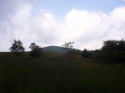 Big Bald
Another view of the Summit from the Big Stamp Meadows
July 2009
