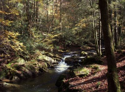 Swimming Hole
October 2009

