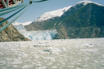 Tracy Arm Glacier
photo by Wendy Williams
