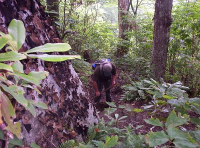 Trail Maintenance
Action photo of Rat Patrol cleaning off the rock steps leading up to 'High Rocks'
