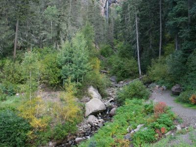 Wolfecreek Pass
Photo by Lisa McClanahan
