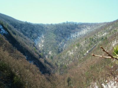 Li'l Butte
Not very far away from 'Big Butte' on the Appalachian Trail, this butte in the Sampson Wilderness connects Rich and Sampson Mountains...
3-6-10
