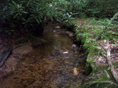 Stream Near Appalachian Trail
On Blue Blaze Trail off of Little Bald Mountain,
July 2009
