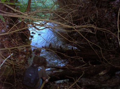 Lilybeth Falls
Rat and Tyler descend to top of falls,
November 2009 
