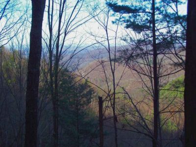 View of Big Pine Ridge Knob from Devils Fork Trail
(no zoom)
