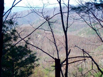 View of Volcano from Devils Fork Trail
...can also see part of the Sill Branch Overlook beyond the 'Volcano' ridge.
(zoom) 
