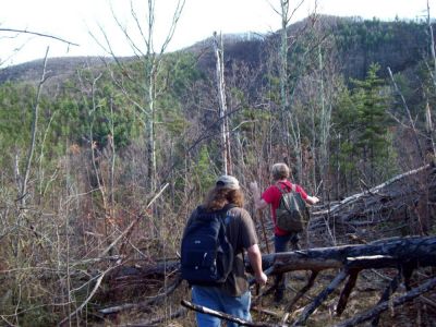 Rough Trail
negotiating downed trees on 'Lukes Road' on the way to The Upper Devil's Fork Falls...
Photo by Rat
11-2009
