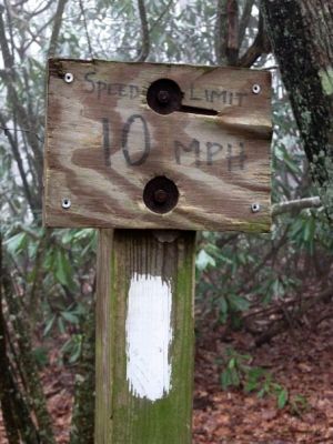 10 mph sign
rat-made sign placed on AT south of jerry cabin many yrs ago. It was later moved further south to this location near Camp Cr Bald fire tower.
