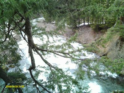 The Rogue River
Photo By Betty Sabatini
