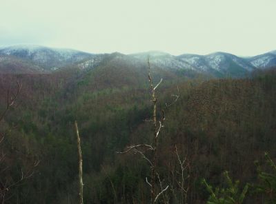 Longarm Ridge View
The 'Pyramid' on Big Pine Ridge,
Sampson Wilderness,
01-01-2010

