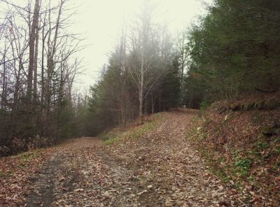 Trail Splits on Unaka Mnt
Which way to go?
Not exactly a Robert Frost moment, but it did 'make a difference...'
November 2009
