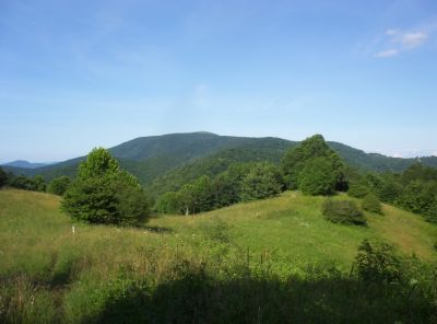 View of Big Bald
from Meadow (late in afternoon),
July 2009
