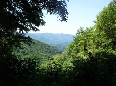 Appalachian Trail
View of Rich Mountain and Rocky Fork from power lines near Street Gap
July, 2009
