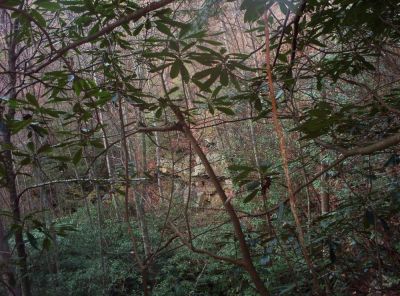 'The Gorge'
View of cliffs in the 'gorge' below Lilybeth Falls where the Devil's Slide is.
November 2009
