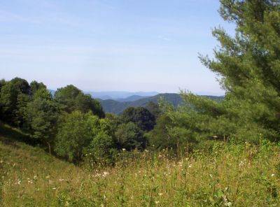 View from meadow...
Sawtooth Mountains in the distance, 
July 2009 
