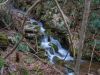 7936,_Cascades_on_Longarm_Branch_Trail,_3-12-11.jpg