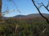 936,_View_Flattop_Mnt,_from_No_Business_Knob,_11-6-11.jpg