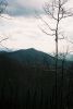 Cherokee_Mountain_Knob,_view_from_Buffalo_Mountain,_April_2009.jpg