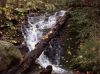 Small_falls_in_Sampson_Wilderness,_10-09.jpg
