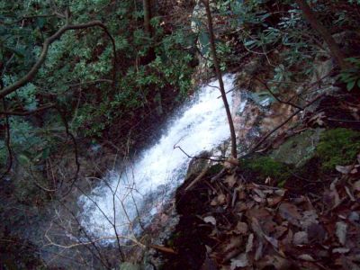Lilybeth Falls
aka, 'Upper Devil's Fork Falls' in the Sampson Wilderness.
Photo by RAT 
11-14-2009
