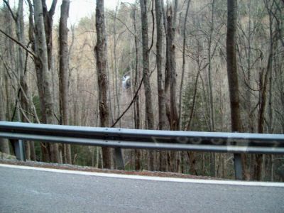 Lower Spivey Falls
March 2009
Photos by Rat
