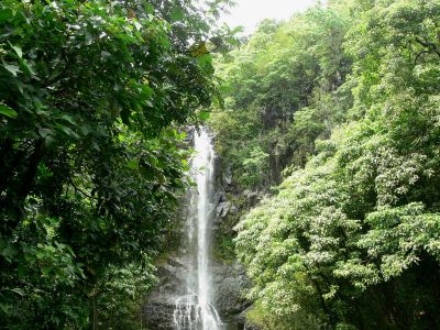 Hawaii Falls
Photo courtesy of Dave Aldridge
