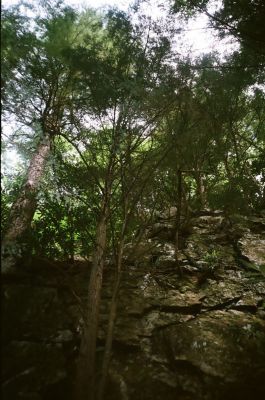 Jones Branch Falls 
cliff face above falls...
